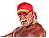 *Hulk Hogan_k2*
